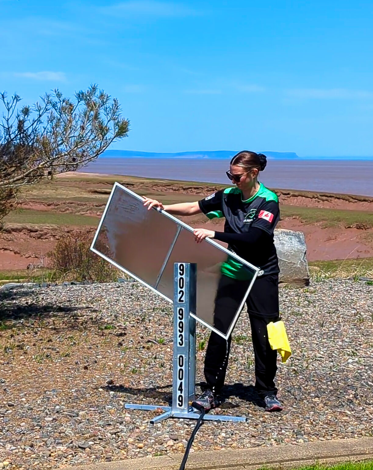 Professional Window Cleaning