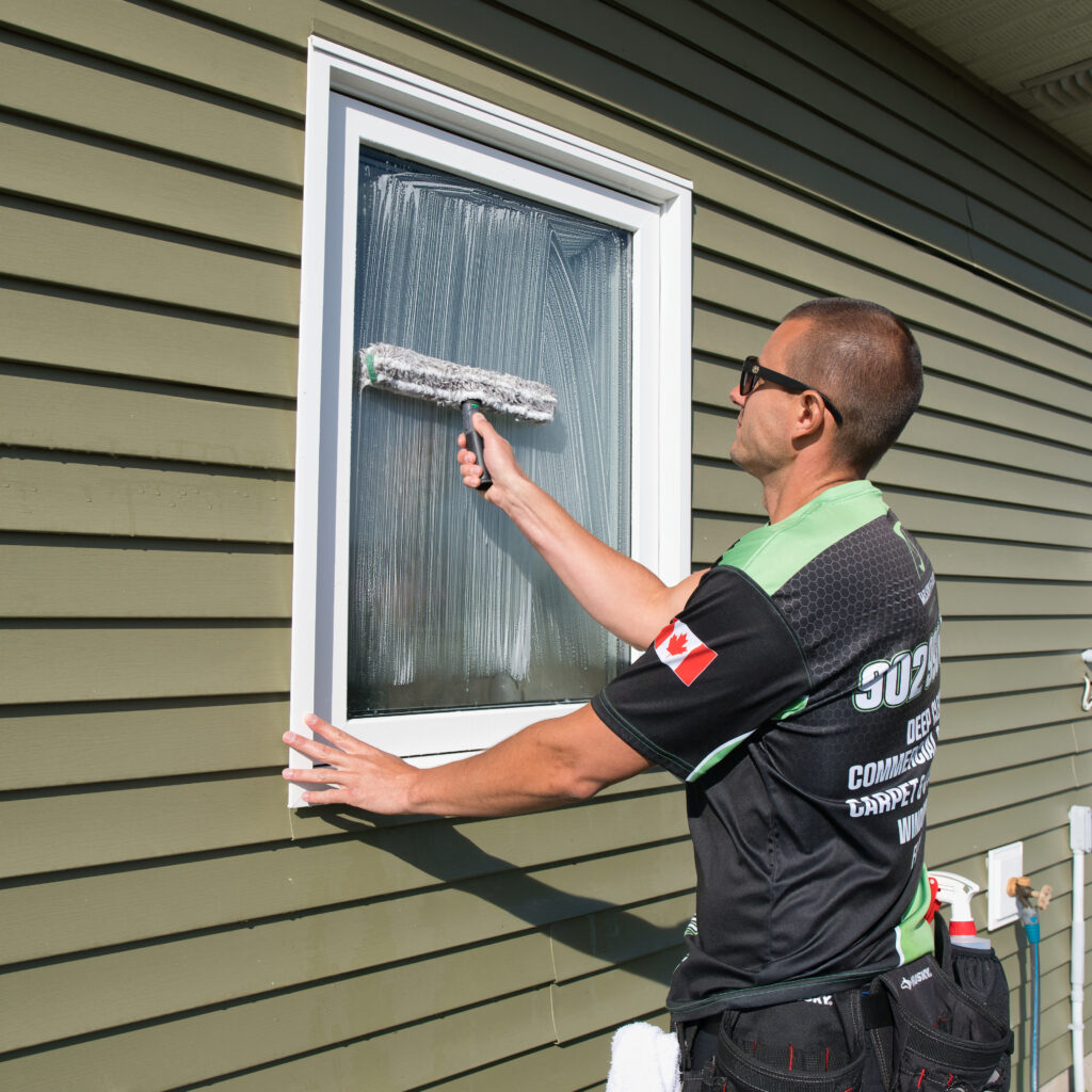 Professional Window Cleaning